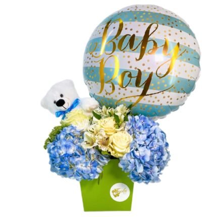 Its a Boy