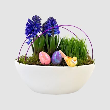 Hyacinth Boat