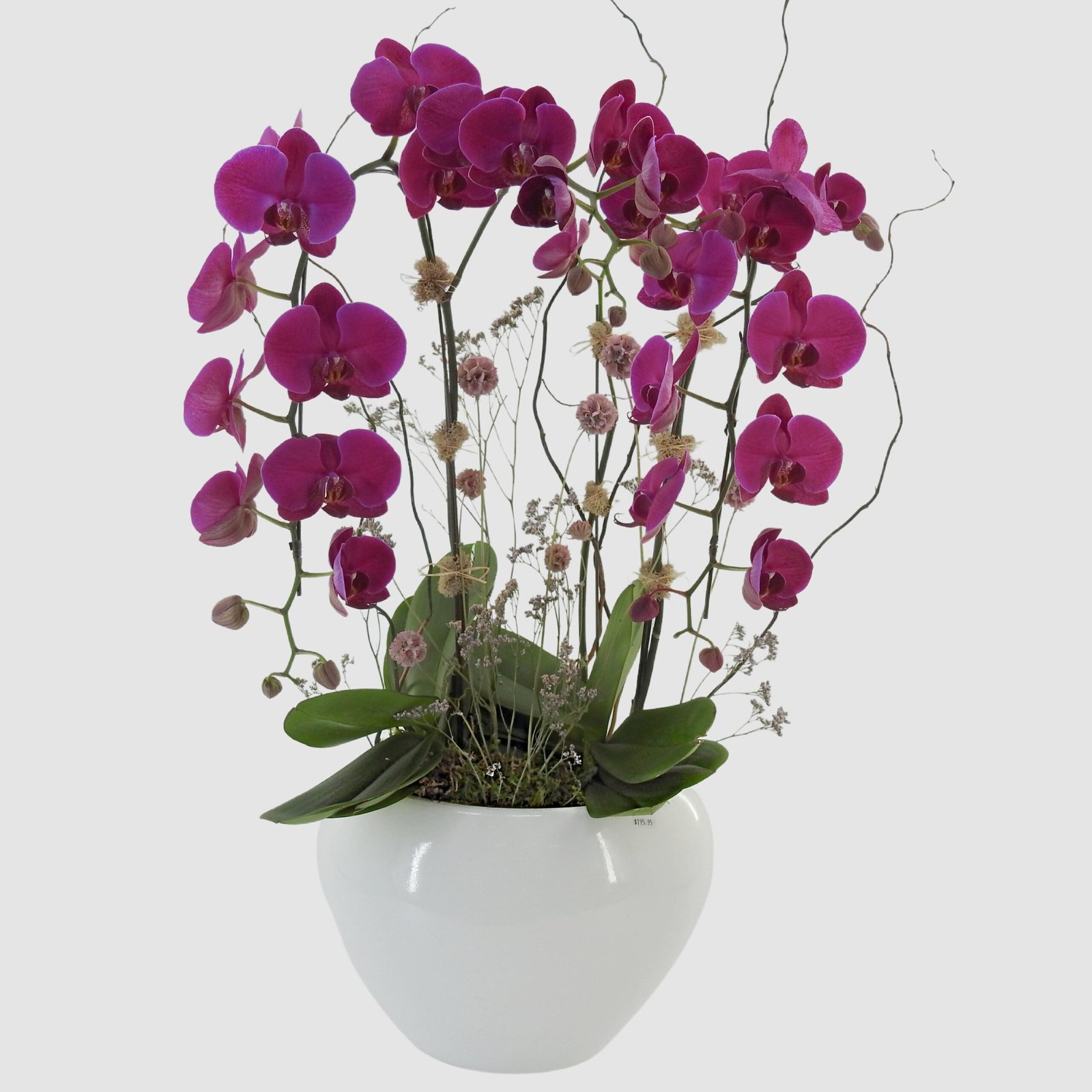 tooka-florist-default-title-pink-perfection-orchid-garden-36429679165684.jpg Pink Perfection Orchid Garden - Image 1