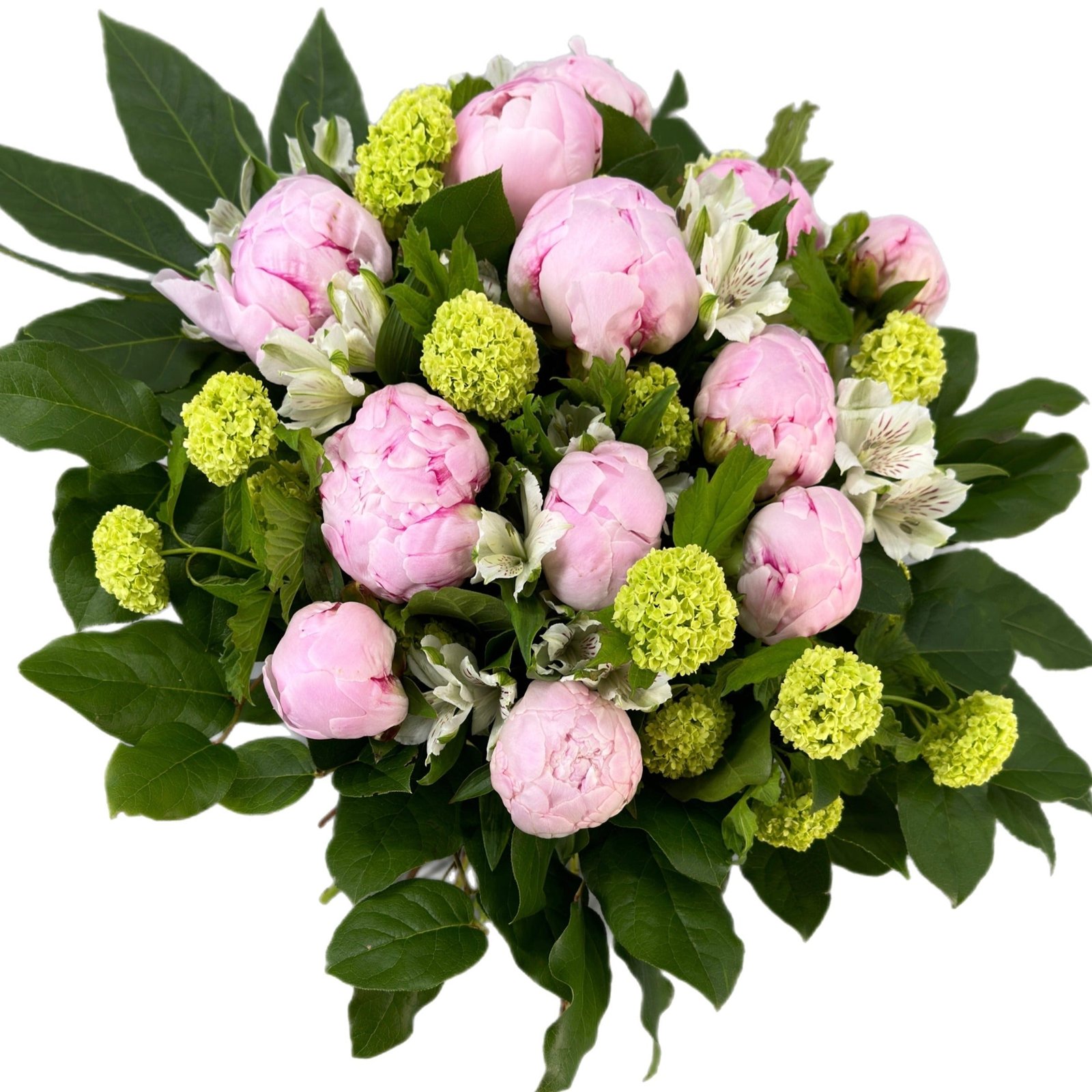tookaflorist-variable-medium-dozen-peonies-36429739163892.jpg Dozen Peonies - Image 1