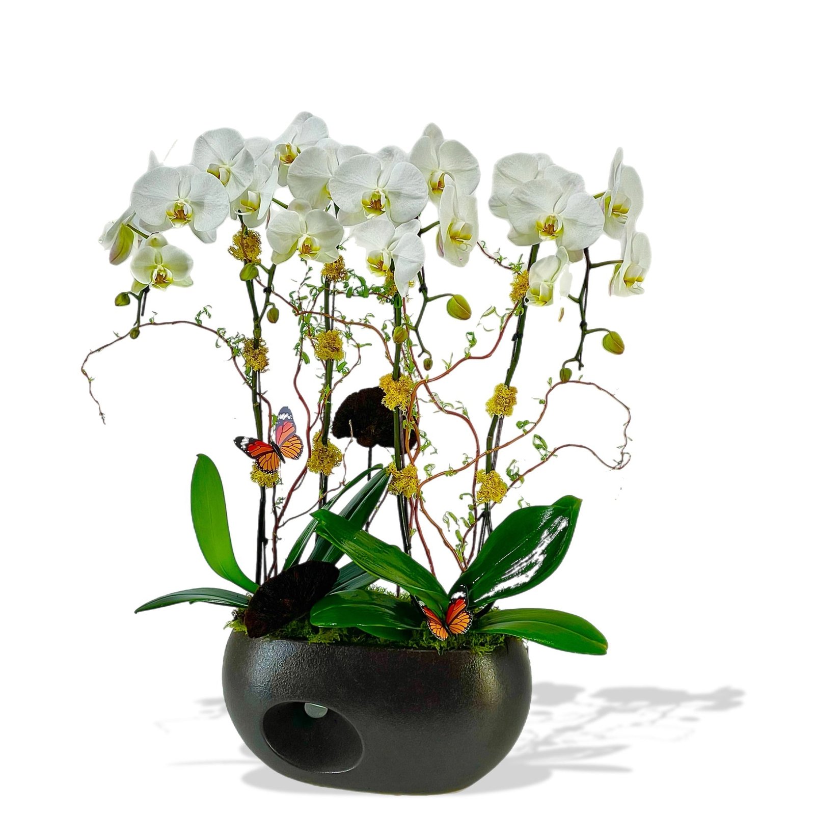 Butterfly Harmony Orchid Planter Butterfly Harmony Orchid Planter - Image 1