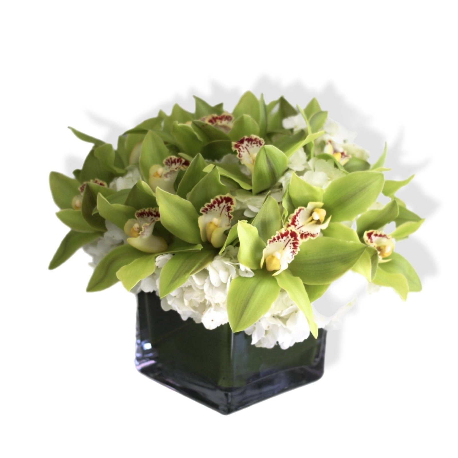 Green Orchid Serenity Cube Green Orchid Serenity Cube - Image 1