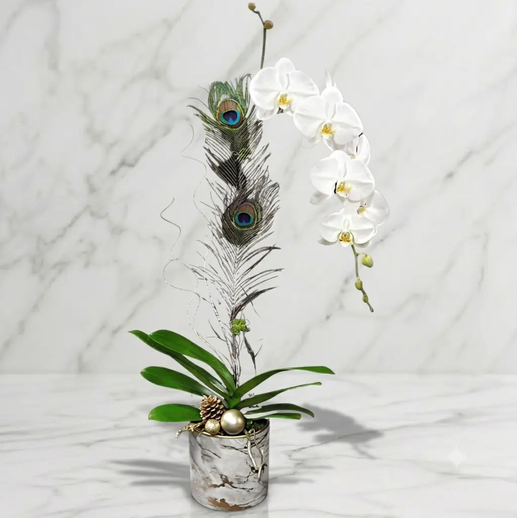 Marble Phalaenopsis White Phalaenopsis orchid in marble pot for Downtown Vancouver delivery.