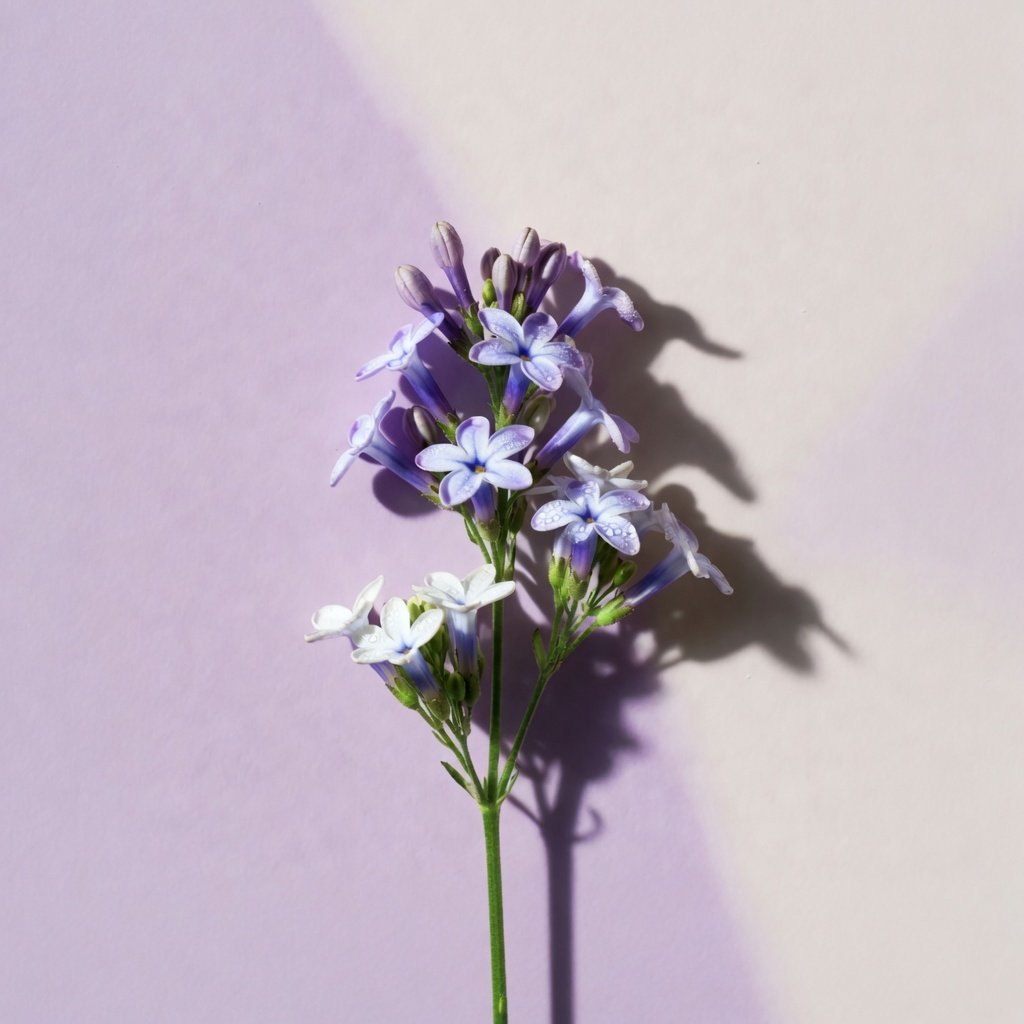 fresh picks flower vancentral florist