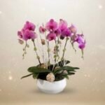 Luxury Orchid Arrangement for Grand Opening - Business Flower Delivery Vancouver