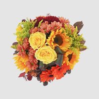 fall-fantastic